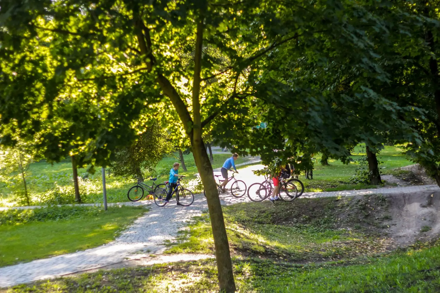 Gdzie znaleźć najciekawsze szlaki rowerowe w okolicy